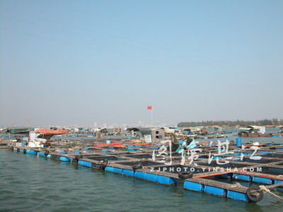 广东湛江建设海水养殖业强市