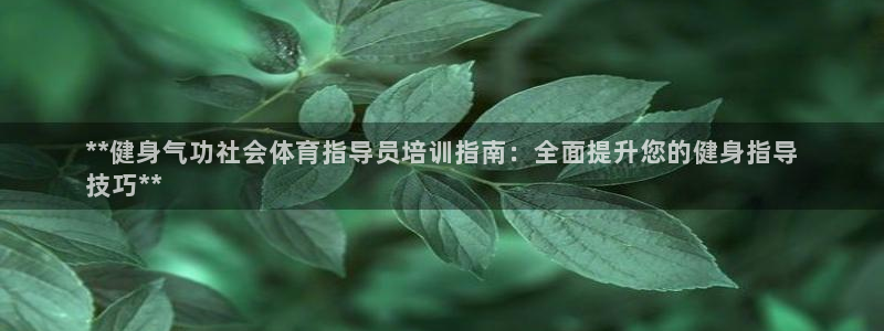 欧陆娱乐官方：**健身气功社会体育指导员培训指南：全