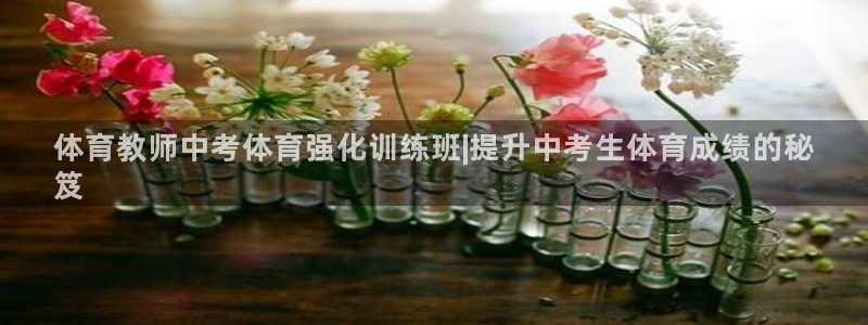 欧陆娱乐平台官网：体育教师中考体育强化训练班|提升中