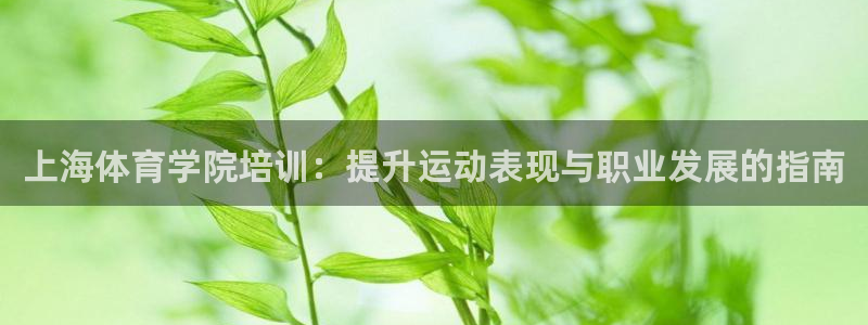 欧陆娱乐挂机怎么玩游戏：上海体育学院培训：提升运动表